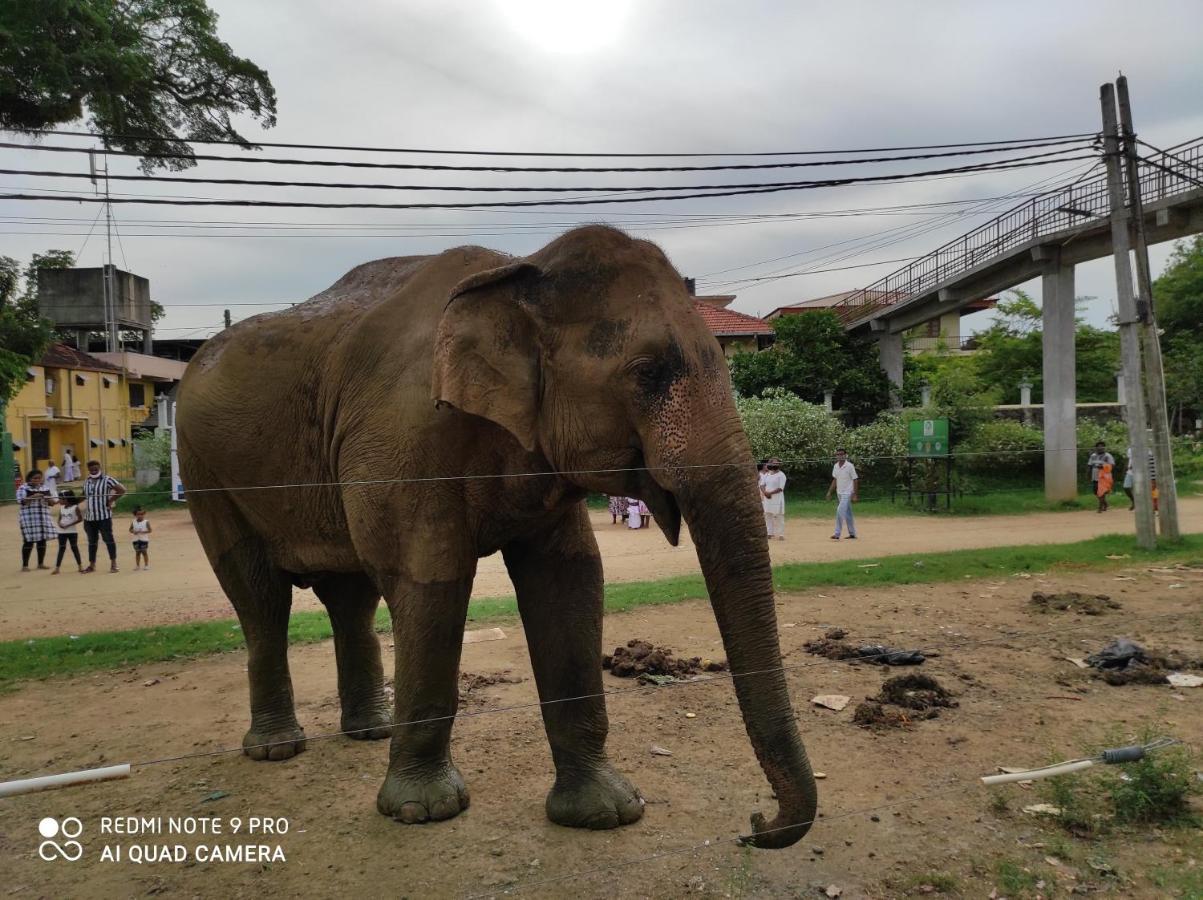 Geethani Tourist Home Polonnaruwa Eksteriør billede